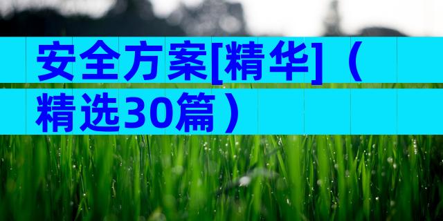安全方案[精华]（精选30篇）